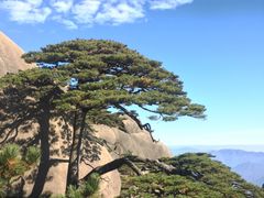 -黄山风景区