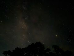 -广东花都湖国家湿地公园