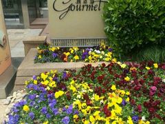 -西点坊(浦东香格里拉店)