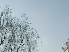 -迎泽公园