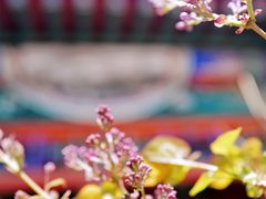 -北京古城老院厉晓麟精致菜