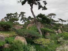 -罗红摄影艺术馆