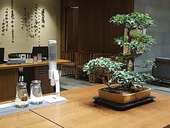 -固安来康郡来康温泉