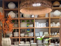 -自由生长植物工作室(深港花卉中心店)