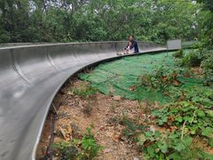 -富斯特索道