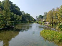 -云溪植物园