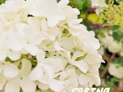 -大龙山(地铁站)