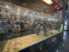 -国家自然博物馆