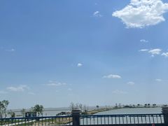 -合肥滨湖国家森林公园