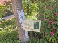 -广州神农草堂中医药博物馆