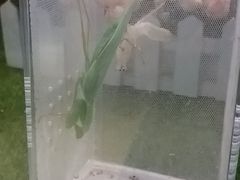 游乐设施-上海昆虫博物馆