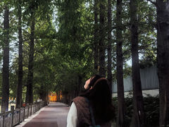 -蜀绣公园