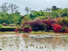 -中国科学院西双版纳热带植物园