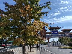 -北京西山国家森林公园