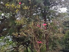 -敬亭山风景名胜区