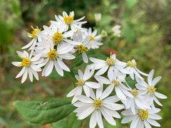 景点-南岳衡山风景名胜区