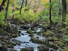 -香炉山国家森林公园