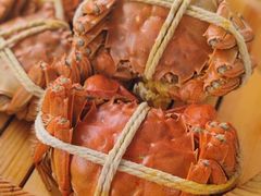 -乡乐园蟹庄·阳澄湖农家乐