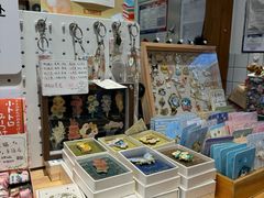 -猫的天空之城概念书店(苏州平江店)