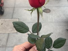 -FEI FEI FLOWER鲜花店·气球派对·宝宝宴布置(虹口德必运动Loft店)