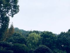 -汤山公园