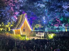 -秀丽东方