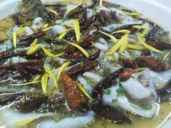 -江渔兒酸菜魚專門店(顺盈时代广场店)