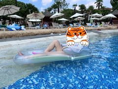 -上海东方佘山翰悦阁酒店·Vie全日制餐厅