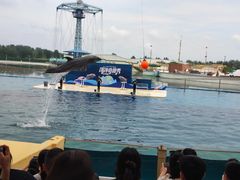 -秦皇岛乐岛海洋王国