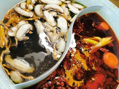 -青瓷火锅料理(西单大悦城店)