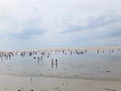 -奉贤海滩
