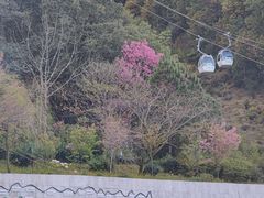 -苍山感通索道