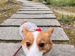 -渤公岛生态公园