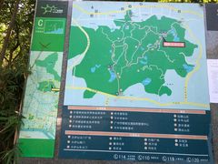 -火炉山森林公园