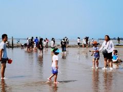 -渡海小渔村.老辈日照菜