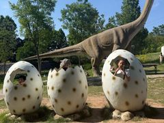 -西部长青自然儿童乐园