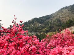 -木兰云雾山