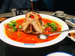 剁椒鱼头-坛宗剁椒鱼头(河西王府井店)