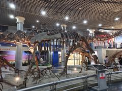 -国家自然博物馆