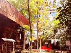 -呀路古热带植物园