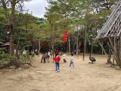 -大湾区中央湿地公园