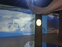 -精绝七日-新疆尼雅遗址数字大展【拉法耶文化艺术中心】