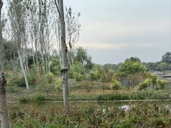-东郊湿地公园