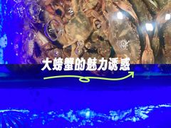-SEA西雅图海鲜自助餐厅(海乐世界店)