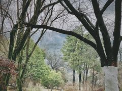 -杭州植物园