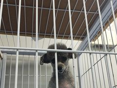 -宠物家(长阳店)