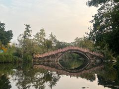 -桂湖森林公园