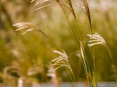 -上海交通大学(闵行校区)