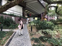 -香港大学