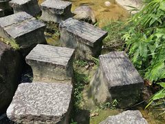 -广州白江湖森林公园